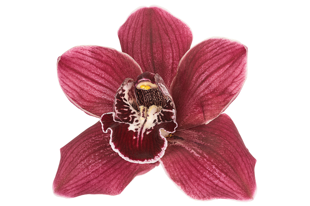 Individual
